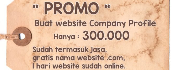 Promo Imlek Jasa Pembuatan Website Company Profile